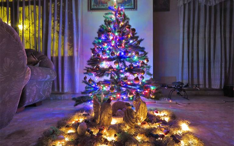 Y tú ¿conoces el significado del árbol de Navidad? - El Heraldo de Tabasco  | Noticias Locales, Policiacas, sobre México, Tabasco y el Mundo