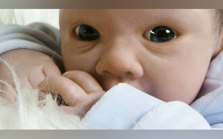 Bebés reborn de TikTok se tan reales que hasta pueden llegar a ser perturbadores (Video) - El Heraldo de Tabasco | Noticias Locales, sobre México, Tabasco Mundo