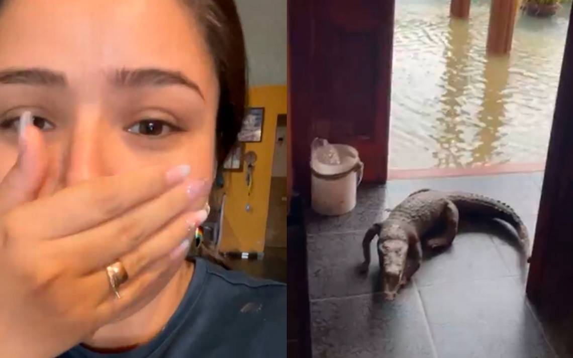 I need help: woman is surprised by a crocodile that appeared at her door (video)