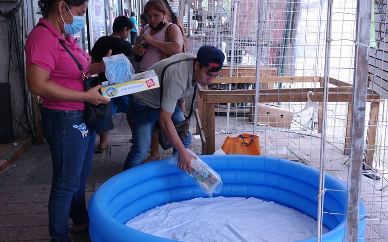 Le apuestan al fin de semana para vender albercas inflables en Tabasco - El  Heraldo de Tabasco | Noticias Locales, Policiacas, sobre México, Tabasco y  el Mundo